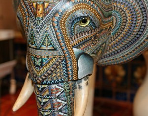 The Elephant The Elephant by Jon Anderson